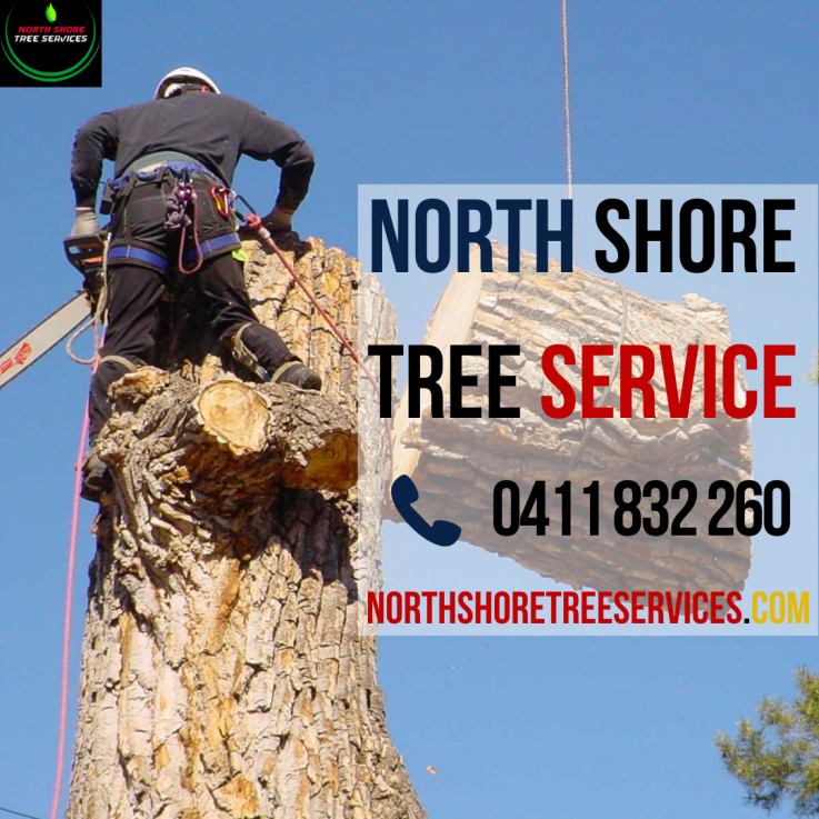 Expert Tree Services by North Shore Tree Services