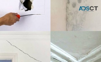 Get the Best Plastering Repairs Services in Gold Coast | Grolife