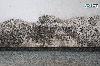 Carpet Hole Repair Sydney - Matrix Carpet Repair Sydney