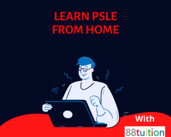 Primary PSLE Online Tuition