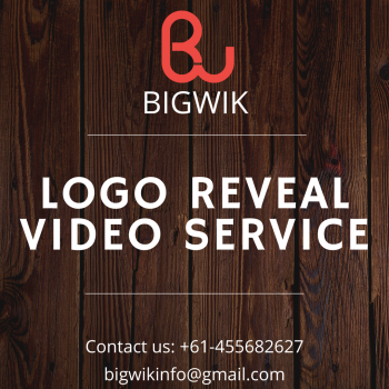 Logo Reveal Animation Services | Best Logo Reveal Services