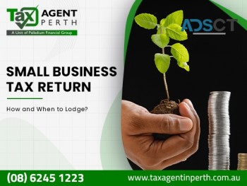 Hire Registered Tax Agent in Perth to Lodge Business tax Return.