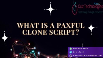 Get Instant Profit With Our Paxful  Clone script