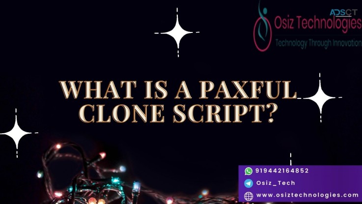 Get Instant Profit With Our Paxful  Clone script