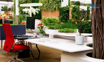 Indoor Planters Melbourne | Foliage Indoor Plant Hire
