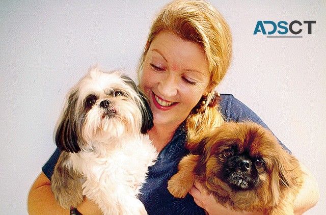 Lorettas Pet Styles