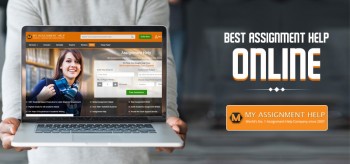 How You Will Get Online Assignment Help from Experts