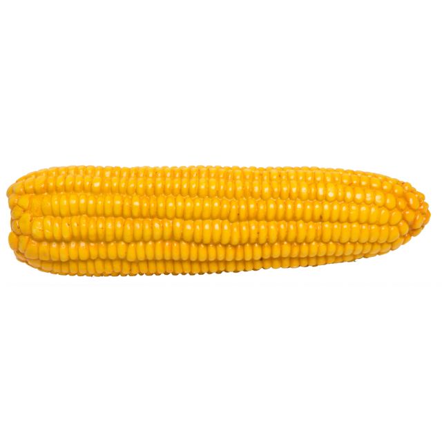 Artificial Corn Cob