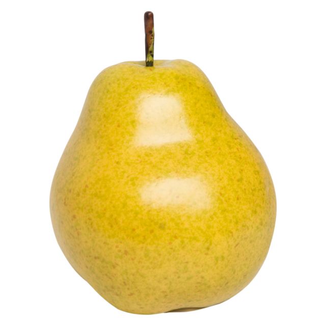 Artificial Pear