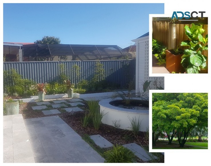 Best Reticulation Service In Perth