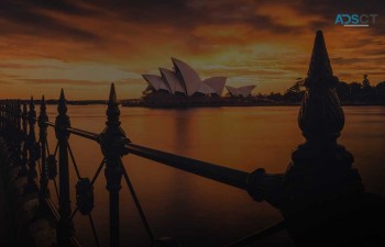 Magento to Shopify Migration Service