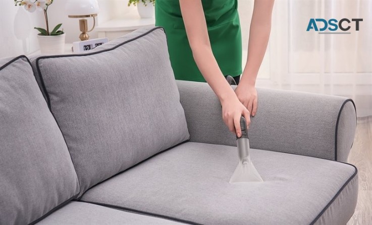 Professional Upholstery Cleaning Cronulla