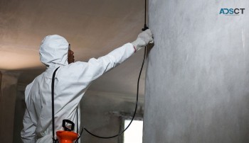 Tom's Pest Control Nunawading