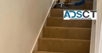 Carpet Cleaning Swanbourne