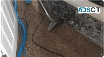 Carpet Cleaning Swanbourne
