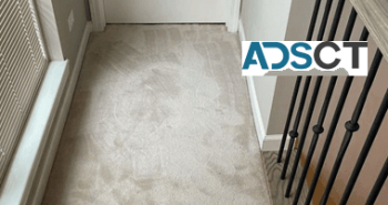 Carpet Cleaning Swanbourne