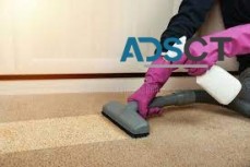 Carpet Cleaning Attadale