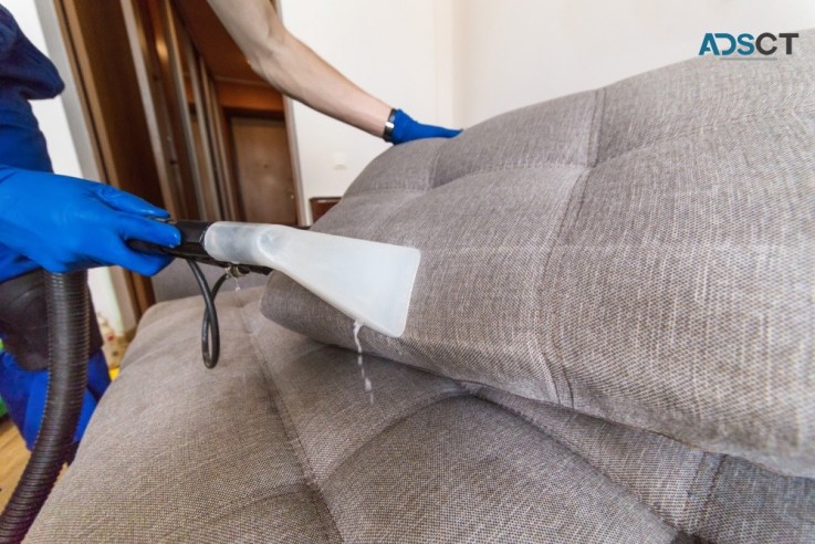 Professional Upholstery Cleaning Service Blue Mountains