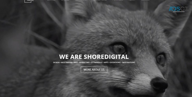 Web Design and Development