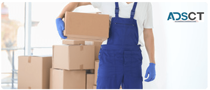 Removalists Scarborough