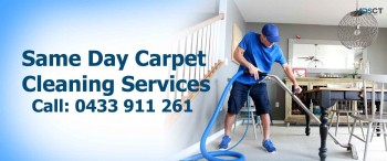 Affordable Carpet Steam Cleaning