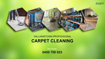 Top Carpet Steam Cleaning Services 