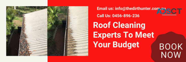 Roof Cleaning Experts To Meet Your Budge