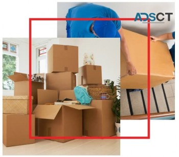 Removalists Armidale