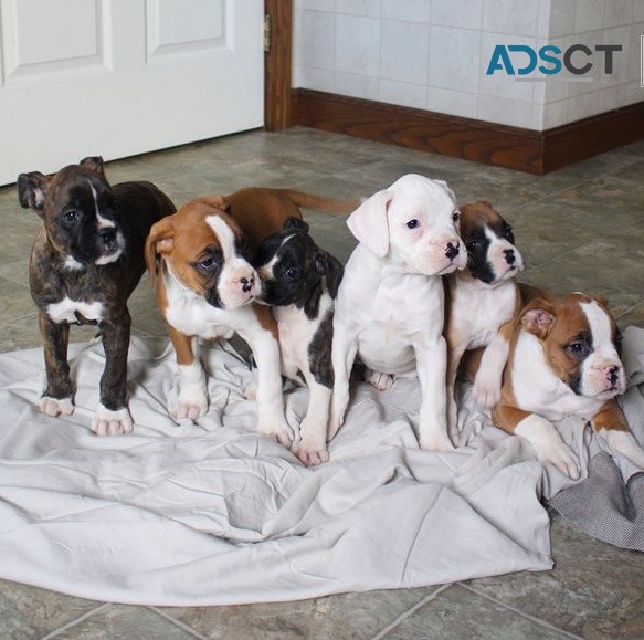 please Email: us at mosburne38@gmail.com