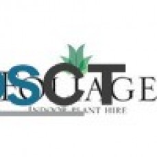 Indoor Office Plant | Foliage Indoor Plant Hire