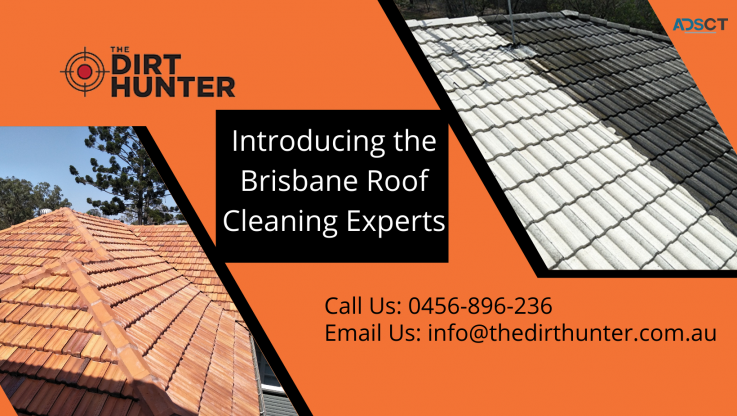 Introducing Brisbane Roof CleaningExpert