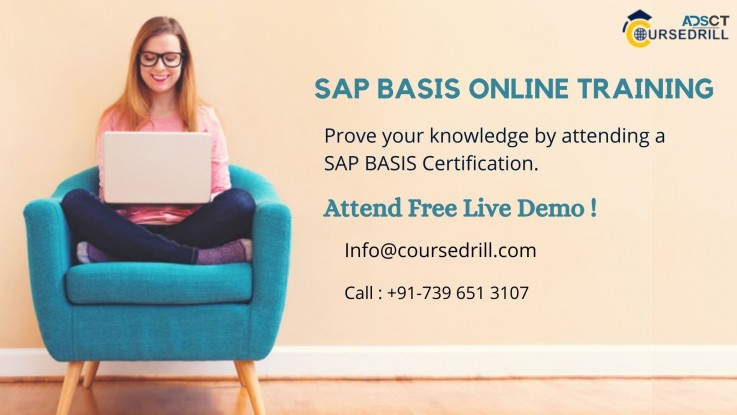 Enhance your skills with SAP Basis Train