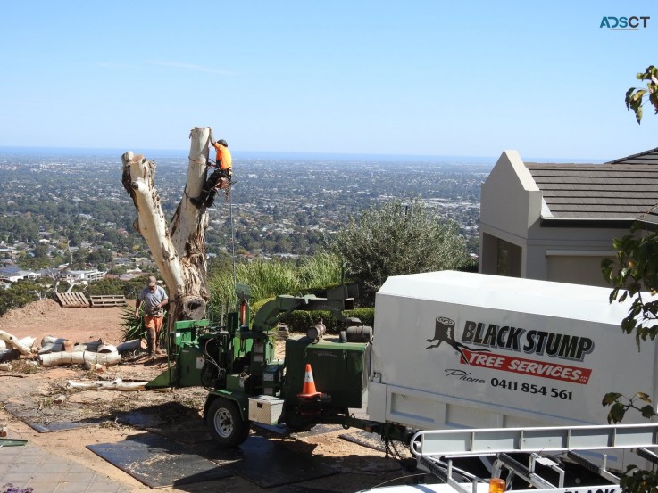 Black Stumpt Tee Services - Arborist Adelaide Hills