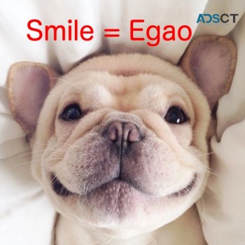 $5 Japanese Language Classes!!!