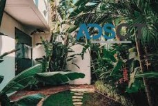 Best Landscaping Service Provider in Sydney.