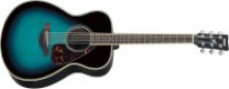 Acoustic Guitar For Sale Online at Music Express