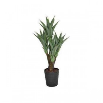 Agave Plant 100cm