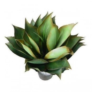 Agave Plant 60cm UV Resistant