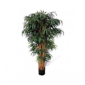 Asian (Twiggy) Bamboo 1.5m - Super Dense