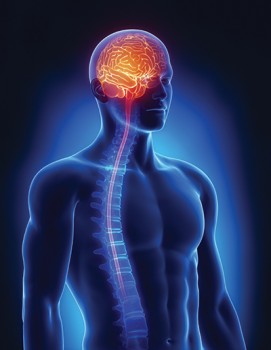 Looking For Fully Qualified Neurosurgeon Consultant? Call Today