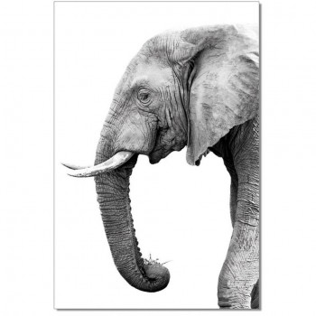 Black and White Elephant Print