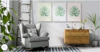 The Monstera Triptych Set of 3