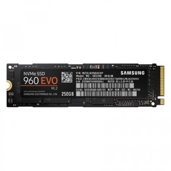Samsung 960 EVO MZ-V6E250BW 250 GB Inter