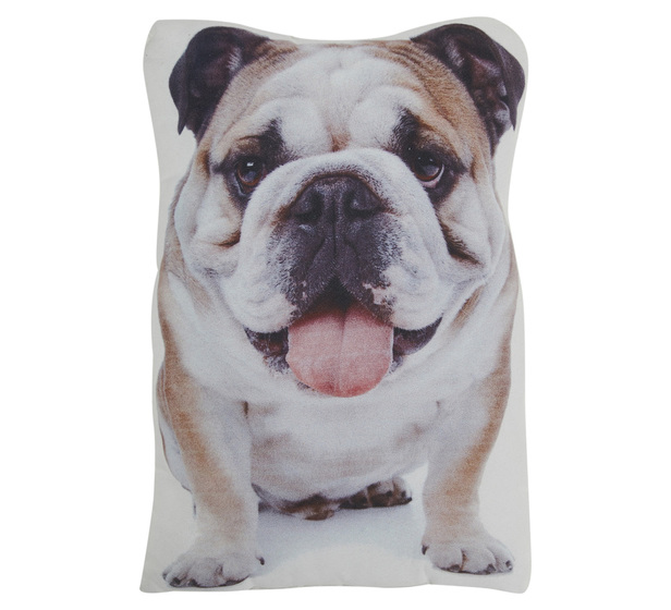 Pet Bulldog Cushion