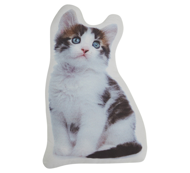 Pet Kitten Cushion