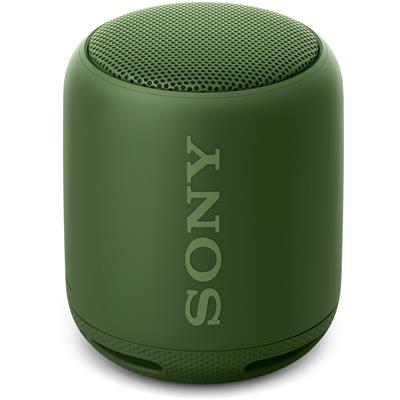 Sony SRSXB10 Portable Wireless Speakers 