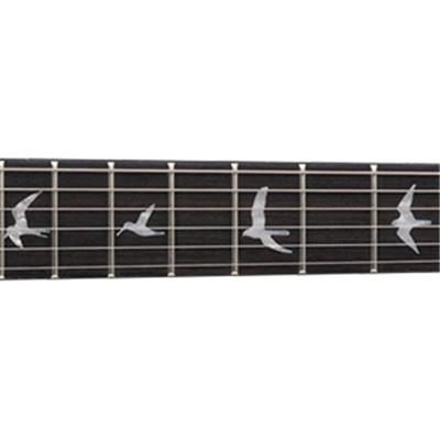 PRS SE Mark Tremonti Electric Guitar (Bl