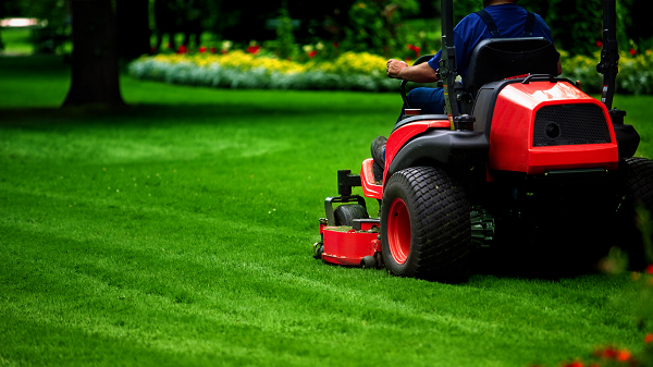 Need Help With Lawn Mowing in Liverpool?