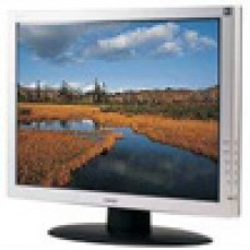 22" Widescreen LCD Monitor