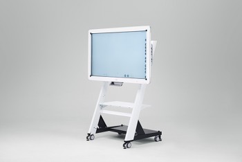 Interactive Whiteboard D5510
